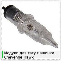Cheyenne-Hawk-NEEDLESq1